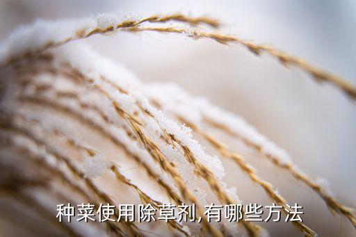  種菜使用除草劑,有哪些方法