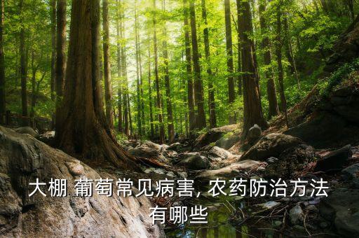大棚 葡萄常見病害, 農(nóng)藥防治方法有哪些