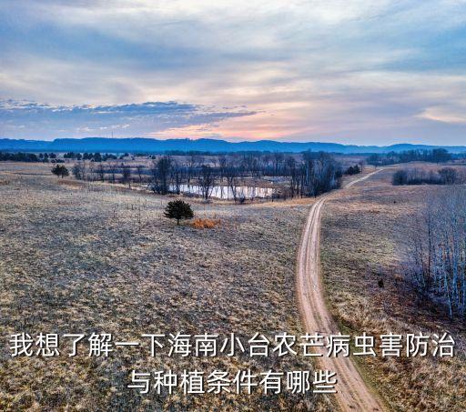 芒果地要用什么農藥,芒果農藥什么時間打最好