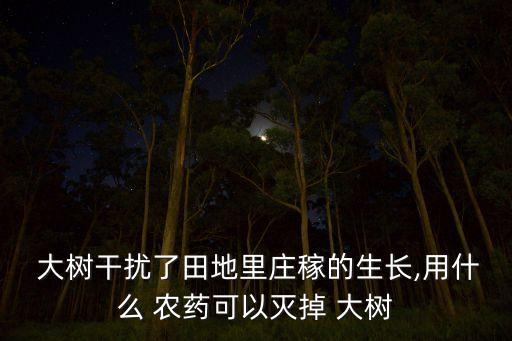  大樹干擾了田地里莊稼的生長,用什么 農(nóng)藥可以滅掉 大樹