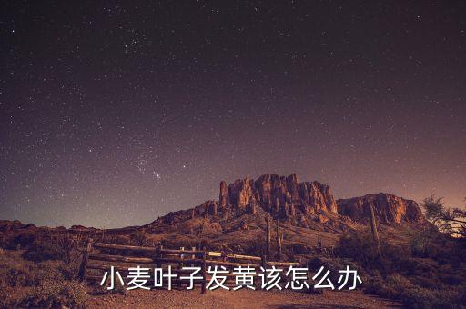 小麥葉子發黃該怎么辦