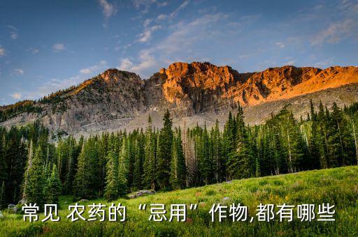 農(nóng)藥使用封草藥有什么禁忌