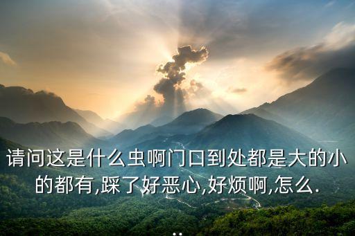 草鞋底用什么藥殺死,什么農(nóng)藥可以殺死草鞋蟲