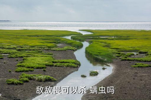 什么農藥可以殺死螨蟲呢,農藥能殺死螨蟲嗎
