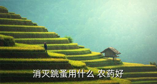 消滅跳蚤用什么 農藥好