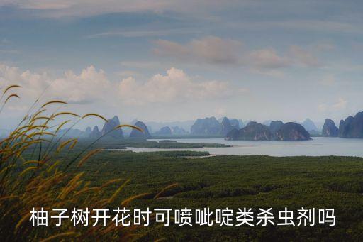  柚子樹開花時可噴呲啶類殺蟲劑嗎