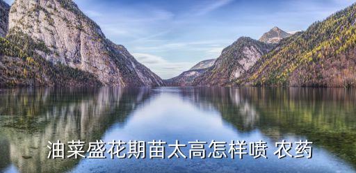 油菜什么時(shí)候開始打農(nóng)藥,油菜在什么時(shí)候打多效些
