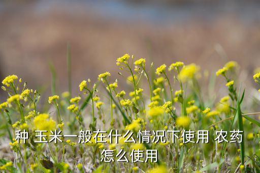種 玉米一般在什么情況下使用 農藥怎么使用