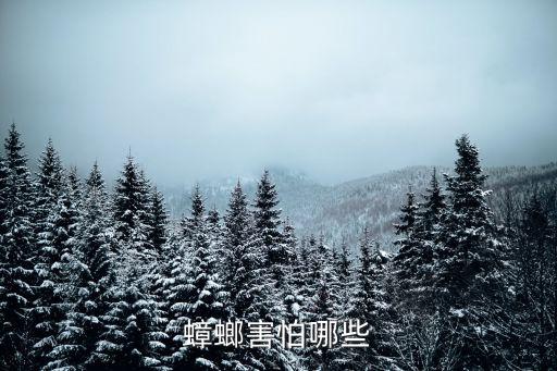 蟑螂害怕哪些