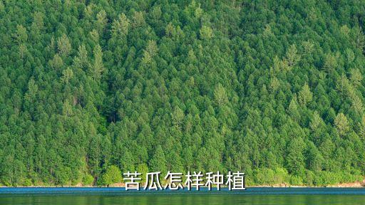 苦瓜噴什么農藥高產,苦瓜需要噴農藥嗎