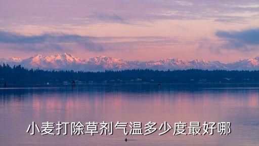 小麥打除草劑氣溫多少度最好哪