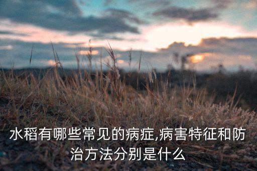 水稻有哪些常見(jiàn)的病癥,病害特征和防治方法分別是什么