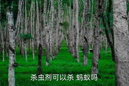 螞蟻用什么農藥去殺死,殺死螞蟻最有效的農藥