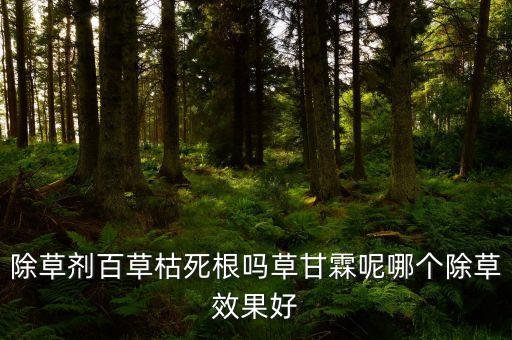 什么農藥能把雜草根藥死,春季雜草用什么農藥效果好