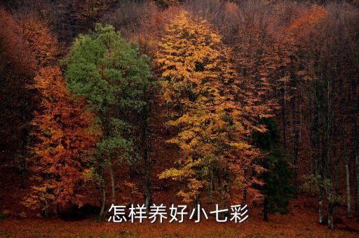 農(nóng)藥地彩又叫什么,沒有農(nóng)藥的蔬菜叫什么