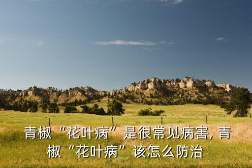 青椒噴什么農(nóng)藥好,青椒鈑噴什么公司