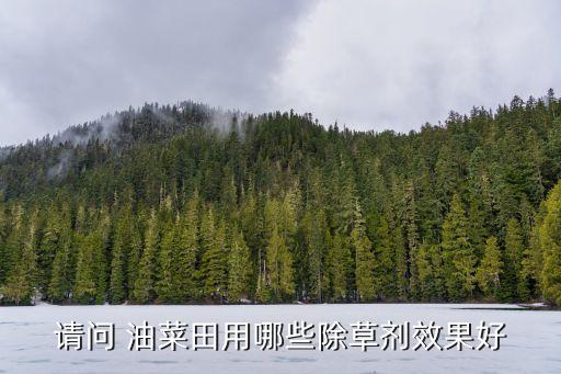 請問 油菜田用哪些除草劑效果好