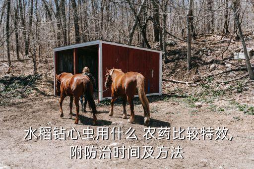 水稻使用什么農藥,水稻農藥什么時間打效果最好