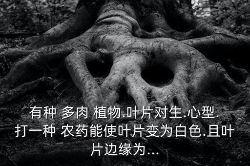 什么農(nóng)藥會傷害多肉植物,多肉植物怕什么農(nóng)藥
