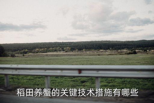稻田養(yǎng)什么可以不打農(nóng)藥
