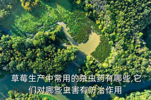 草莓現(xiàn)在該打什么農(nóng)藥好,草莓病蟲害用什么農(nóng)藥