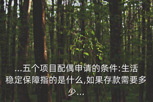 ...五個項目配偶申請的條件:生活穩定保障指的是什么,如果存款需要多少...