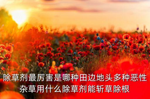 ,莎草什么農(nóng)藥能打死