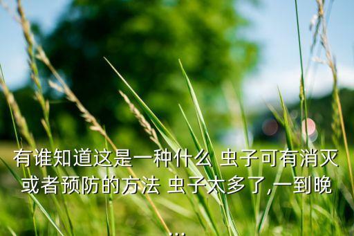 有誰知道這是一種什么 蟲子可有消滅或者預防的方法 蟲子太多了,一到晚...