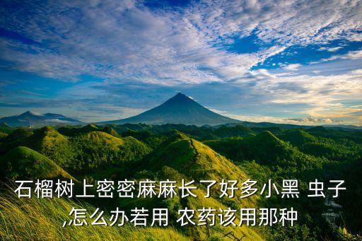 芭樂有蟲子打什么農藥,芭樂里面的蟲子長什么樣