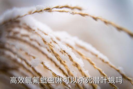 潛夜娥使用什么農藥好