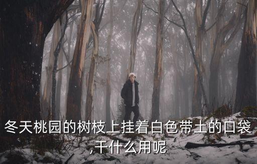 冬天桃園的樹枝上掛著白色帶土的口袋,干什么用呢