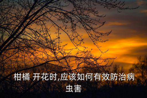  柑橘 開花時,應該如何有效防治病蟲害