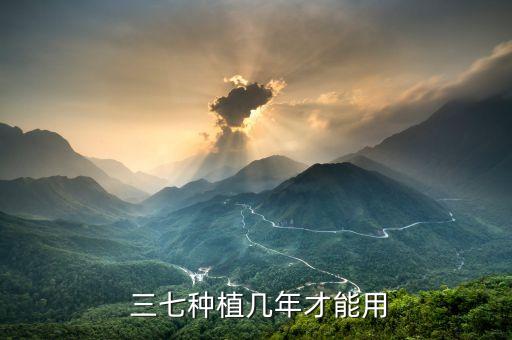 三七花期打什么農藥