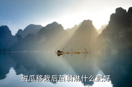 甜瓜移栽后苗弱淋什么肥好