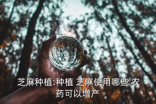  芝麻種植:種植 芝麻使用哪些 農(nóng)藥可以增產(chǎn)