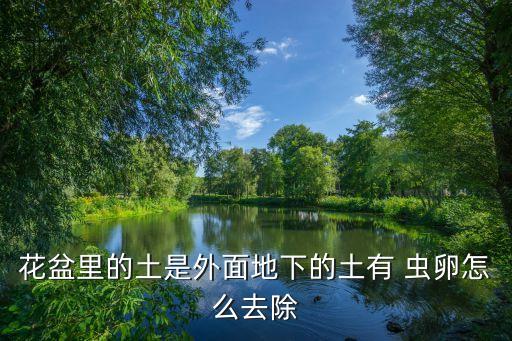 什么農藥可以殺土里的蟲卵
