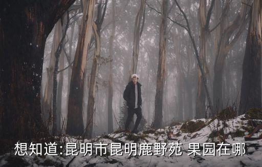 什么果園不用化肥的農藥,果園為豐產高產而購買的化肥和農藥