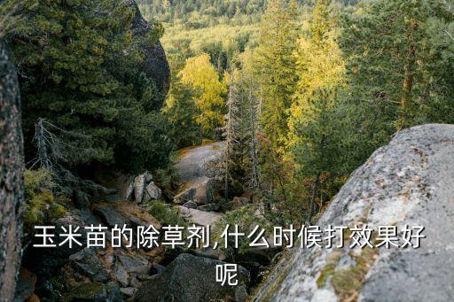 玉米什么時候打醋效果好,栽玉米什么時候要打農藥