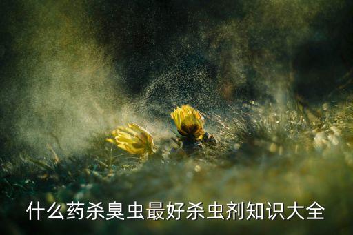 什么藥殺臭蟲最好殺蟲劑知識大全