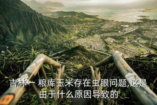 吉林一 糧庫玉米存在蟲眼問題,這是由于什么原因導致的