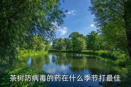 茶樹防病毒的藥在什么季節打最佳