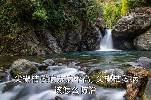 尖椒爛葉落葉用什么農藥