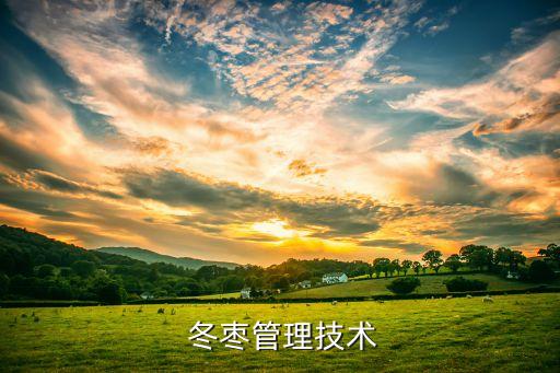 冬棗花期農藥什么作用,冬棗樹打什么農藥