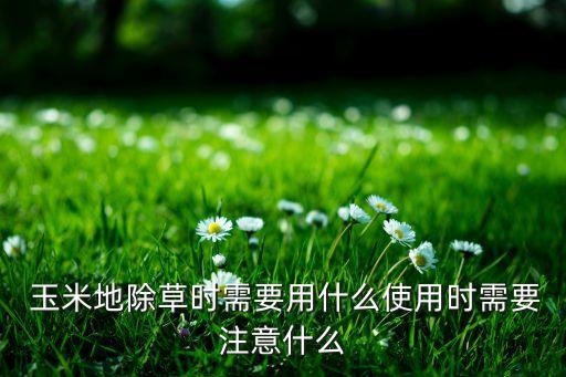新疆玉米用什么農(nóng)藥,什么農(nóng)藥能殺死玉米苗