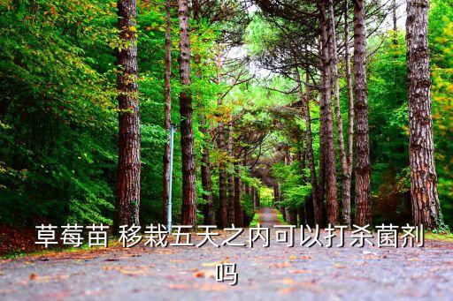 草莓移栽后用什么農藥,草莓什么時間移栽