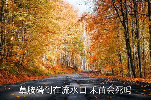 草胺磷到在流水口 禾苗會死嗎
