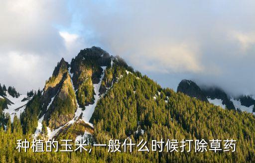為什么秋季噴農(nóng)藥,談的好好的為什么要噴農(nóng)藥
