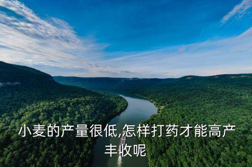 小麥噴農(nóng)藥有什么好處,小麥打農(nóng)藥什么時間打效果好
