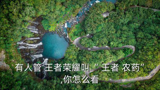 王者農藥口紅什么意思