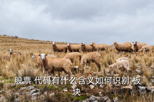  股票 代碼有什么含義如何識別 板塊